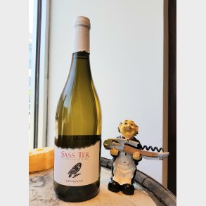 Sass Ter Sauvignon Friuli 2021 1/1 fl.