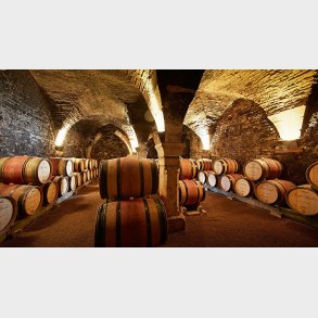 Bourgogne smagning 8/5-2025