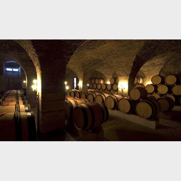 Dom. de Bellene Bourgogne smagning 9. April 2026 